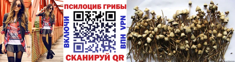 Галлюциногенные грибы Psilocybe  Купить закладки  Миньяр 
