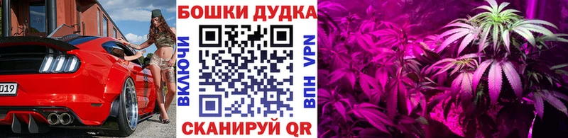 МАРИХУАНА семена Миньяр